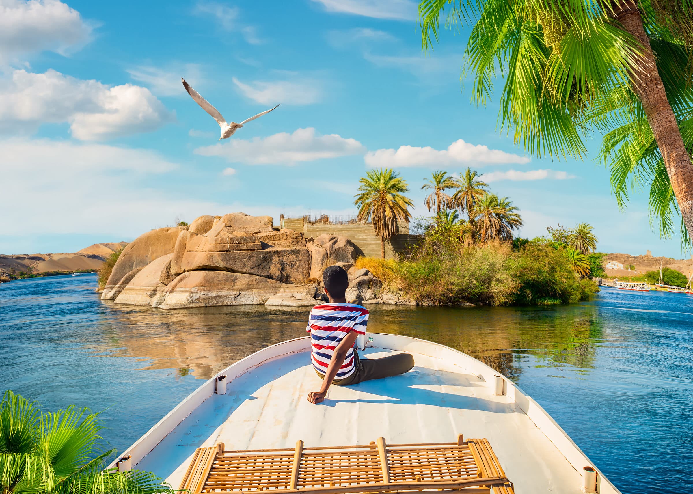 Dream Island