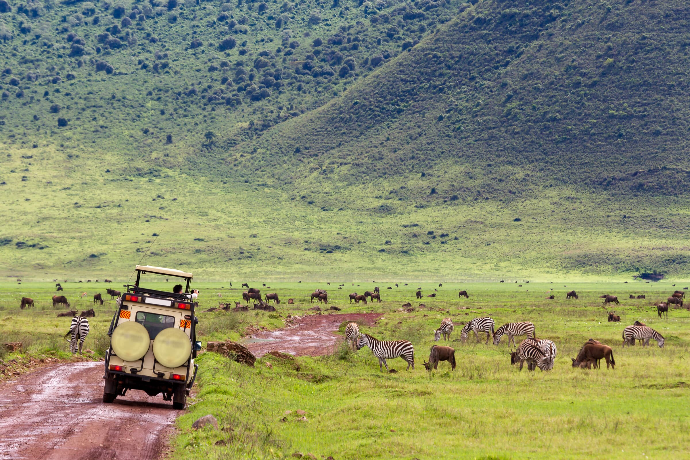 Ngorongoro Conservation