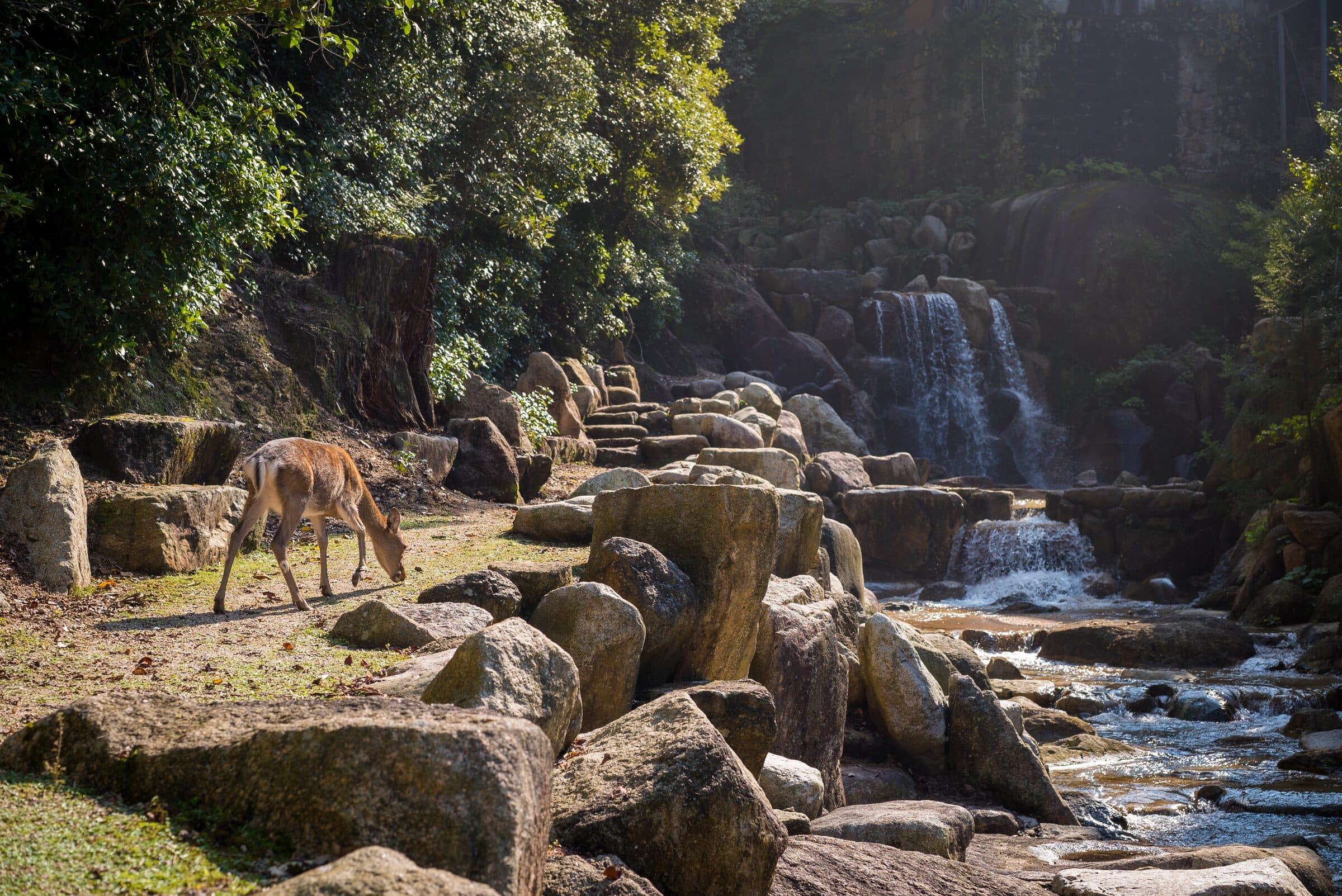 National Park